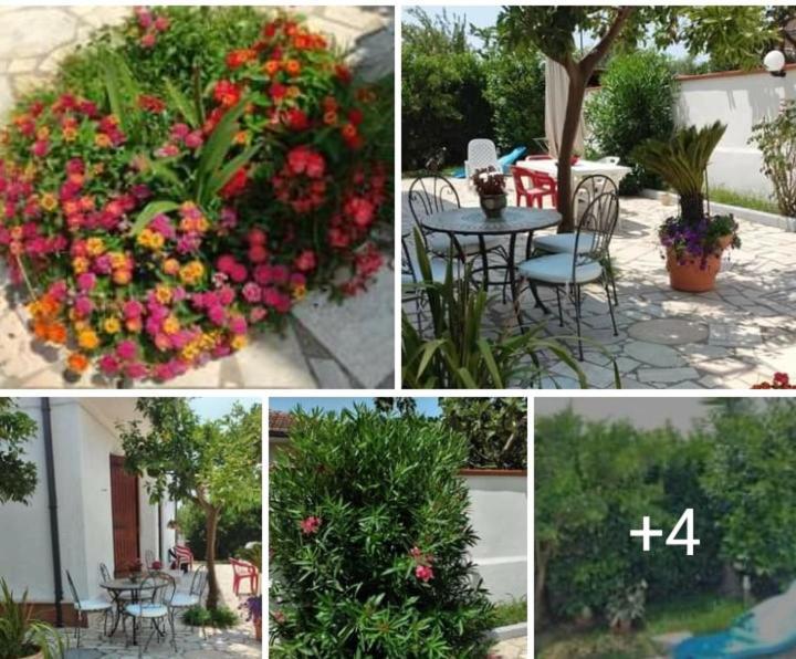 Villa Dafne Mare Fondi Sperlonga Екстериор снимка